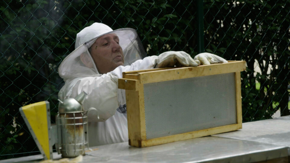 Pressebilder_Bienen_Imkerin ©LOOKS Vienna